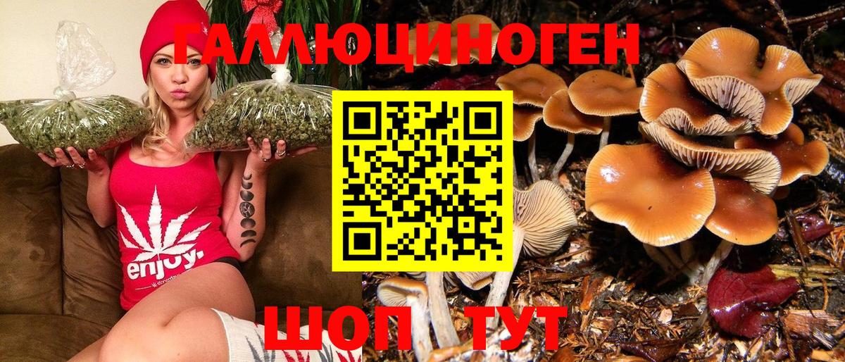 Галлюциногенные грибы Psilocybine cubensis  Вход с VPN  Галлюциногенные грибы GOLDEN TEACHER  где можно купить   Холмск 